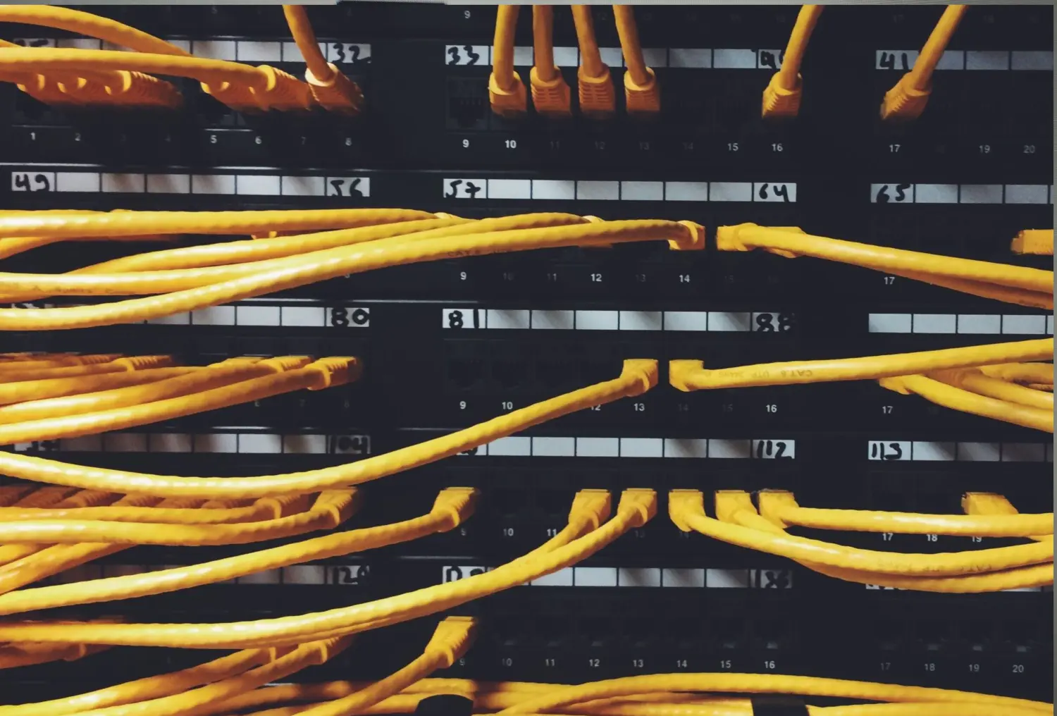 Netzwerkkabel an Server-Rack angeschlossen von Jana Daug